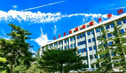 北京信息职业技术学院（部）